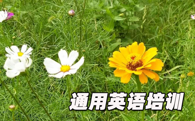 深圳福田區(qū)通用英語(yǔ)培訓(xùn)哪里好_價(jià)格