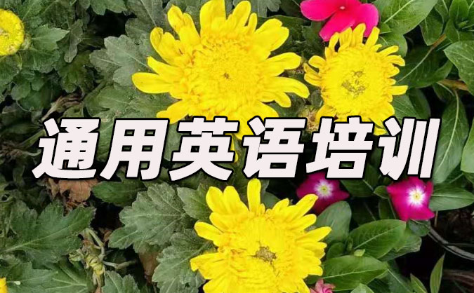 哈爾濱通用英語培訓哪里好_價格