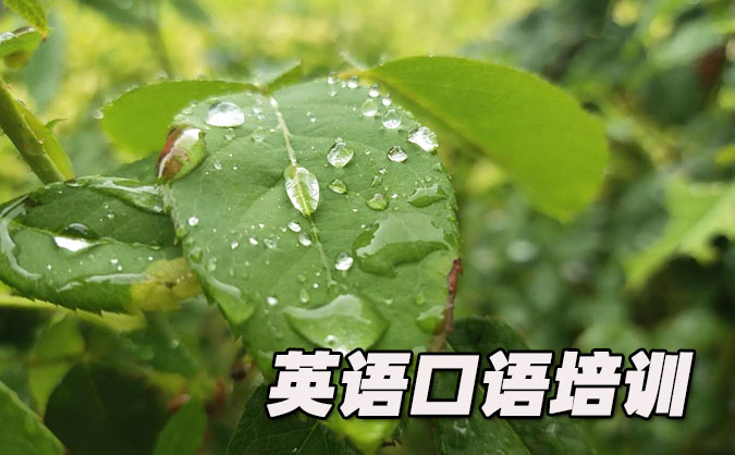 成都錦江區(qū)從零開(kāi)始學(xué)英語(yǔ)口語(yǔ)_專(zhuān)業(yè)培訓(xùn)機(jī)構(gòu)，免費(fèi)試聽(tīng)-美聯(lián)學(xué)校