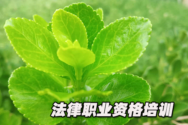 重慶萬州區(qū)法律職業(yè)資格考試-報名條件-考試時間-考試科目