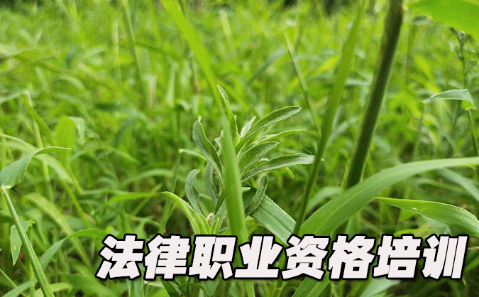 哈爾濱法律職業(yè)資格考試-報(bào)名條件-考試時(shí)間-考試科目